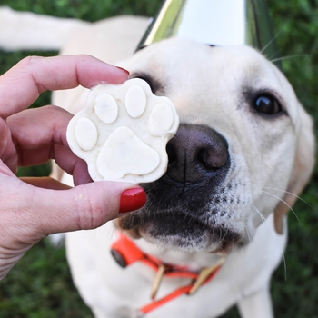 Frozen Peanut Butter & Banana Yogurt Dog Treats