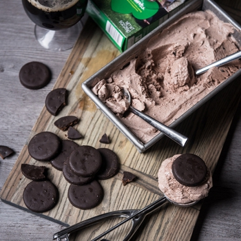 Stouts and Scouts: No Churn Thin Mint Beer Ice Cream