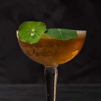 Honey Rhubarb Silver Sour: Drought Relief Dream