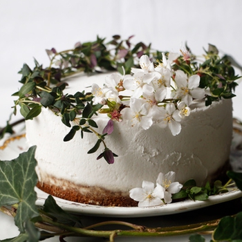 Thyme Lemon Zucchini Cake (vegan & gluten-free)