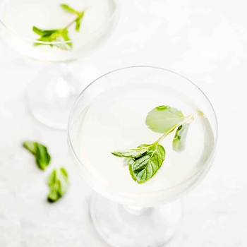 Mint Gimlet Cocktail