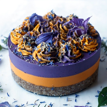 Blood Orange Wild Blueberry Cheesecake (raw, vegan & grain-free)