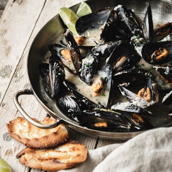 Mediterranean Style Mussels In Wine Sauce