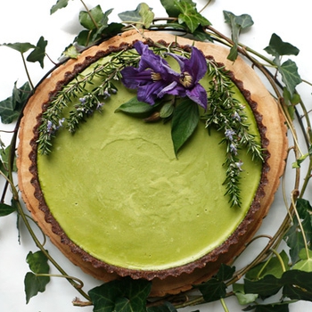 Kale Chocolate Vegan Cheesecake (grain-free)