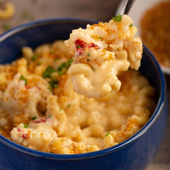 Creamy Lobster Macaroni and Cheese