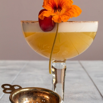 Autumn grape silver sour: gin honey cocktail