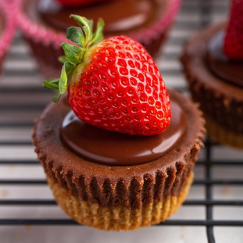 Mini Chocolate Nutella Cheesecakes