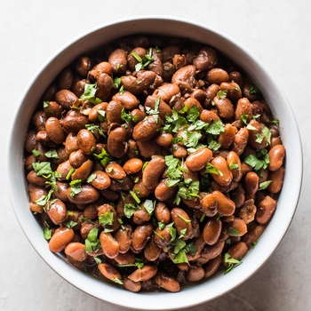 Instant Pot Pinto Beans