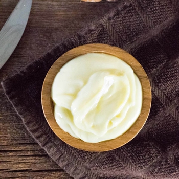 Homemade Mayonnaise