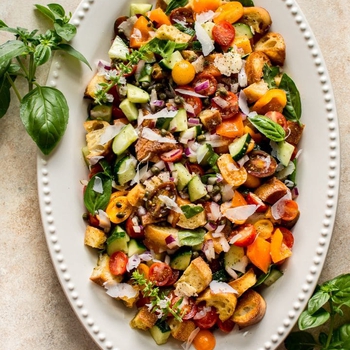 Panzanella Salad