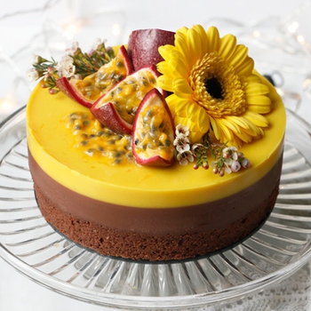 Chocolate Passion Fruit Entremet Cake (vegan & gluten-free)